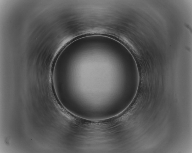 X0000091581232200708271213