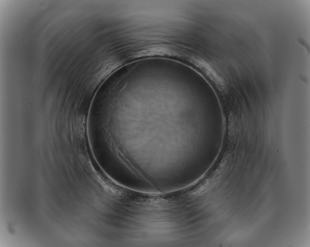 X0000091581233200708271213