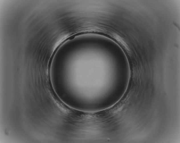 X0000091581234200708271213