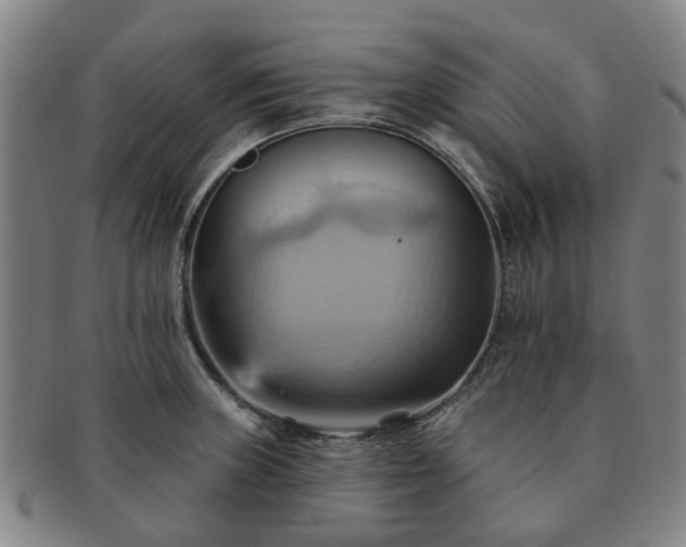 X0000091581235200708271213