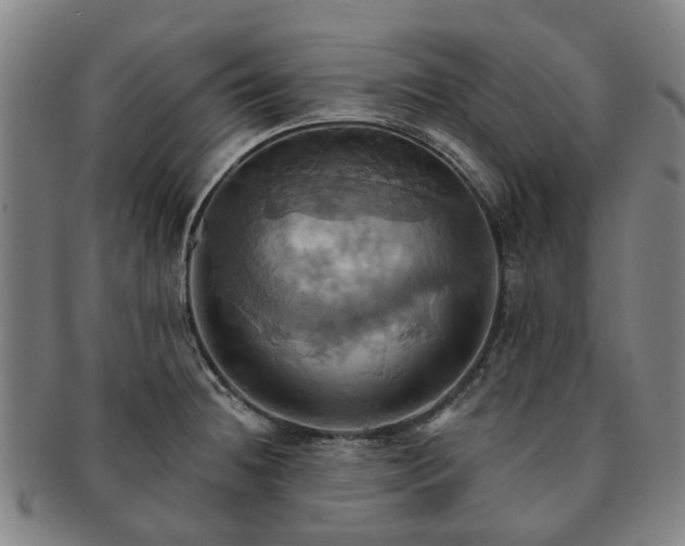 X0000091581236200708271213