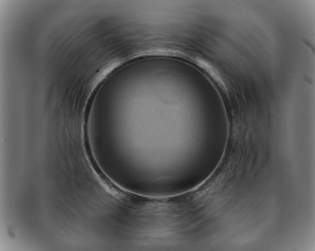 X0000091581237200708271213