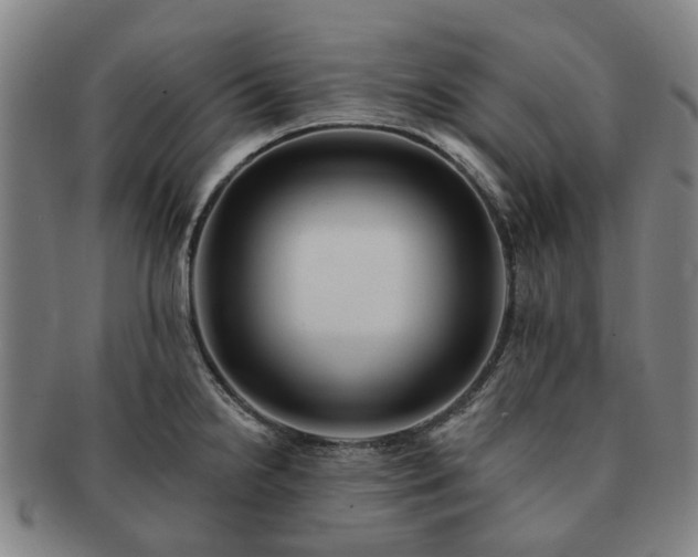 X0000091581238200708271213