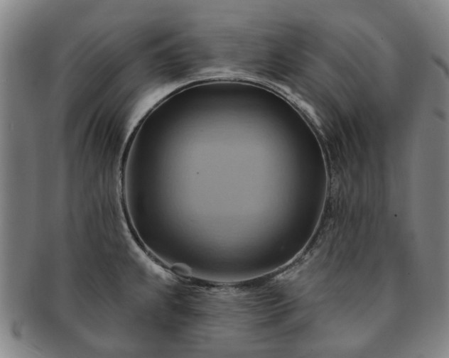 X0000091581239200708271213