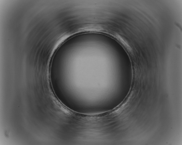 X0000091581240200708271213