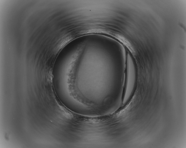 X0000091581241200708271213