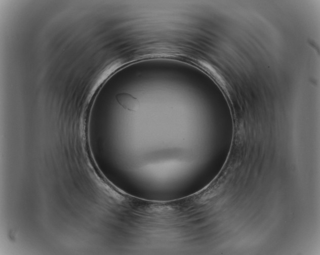 X0000091581243200708271213