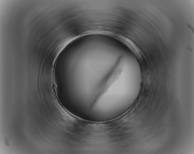 X0000091581244200708271213