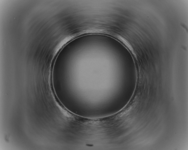 X0000091581245200708271213