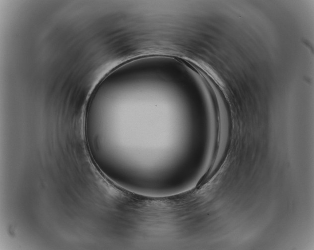 X0000091581246200708271213