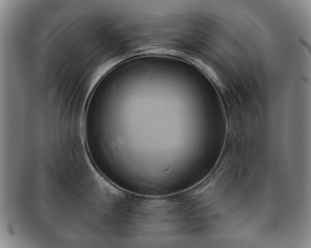 X0000091581247200708271213
