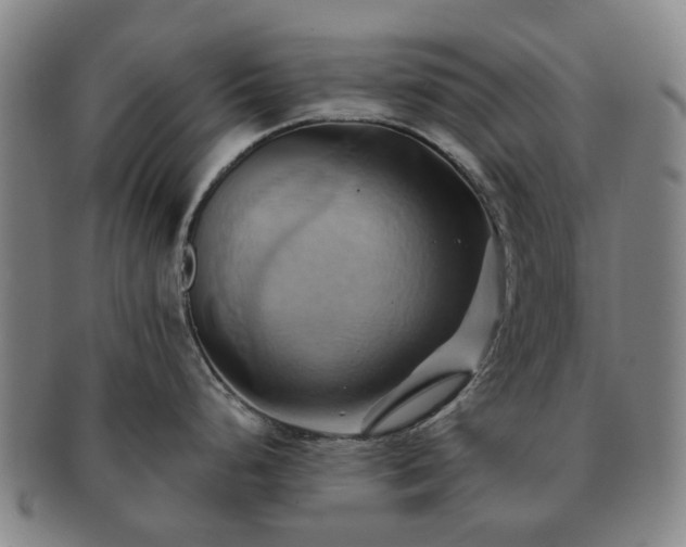 X0000091581248200708271213