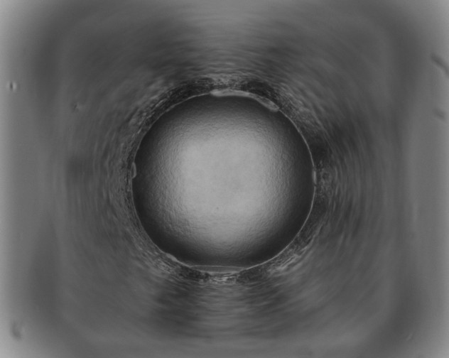 X0000091581249200708271213