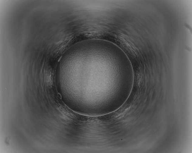 X0000091581250200708271213