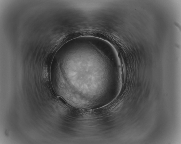 X0000091581252200708271213