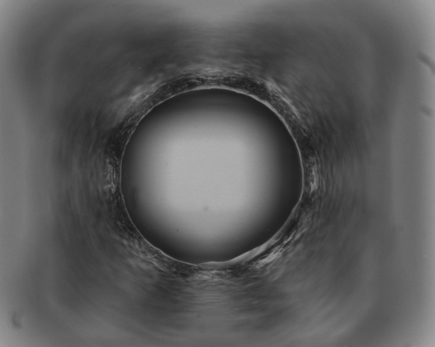 X0000091581253200708271213