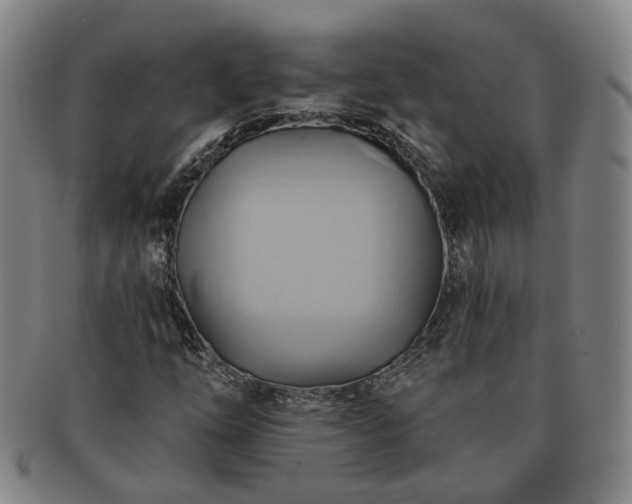 X0000091581254200708271213