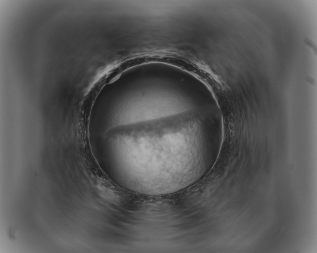 X0000091581256200708271213