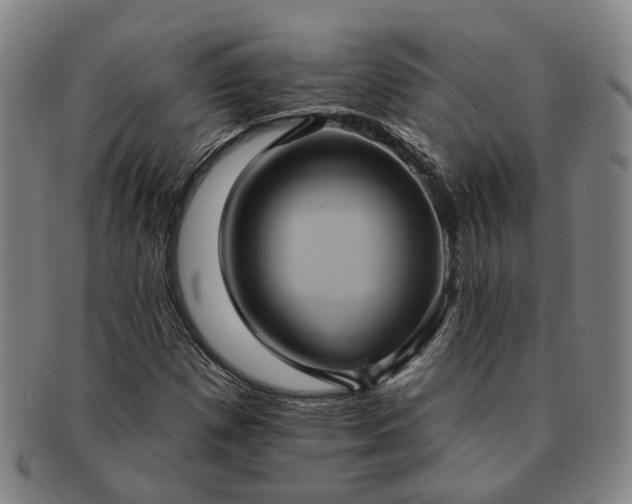 X0000091581257200708271213