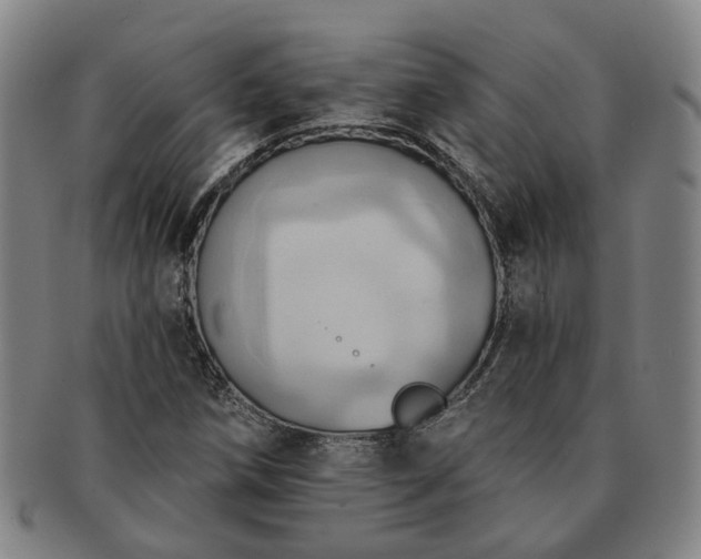 X0000091581258200708271213
