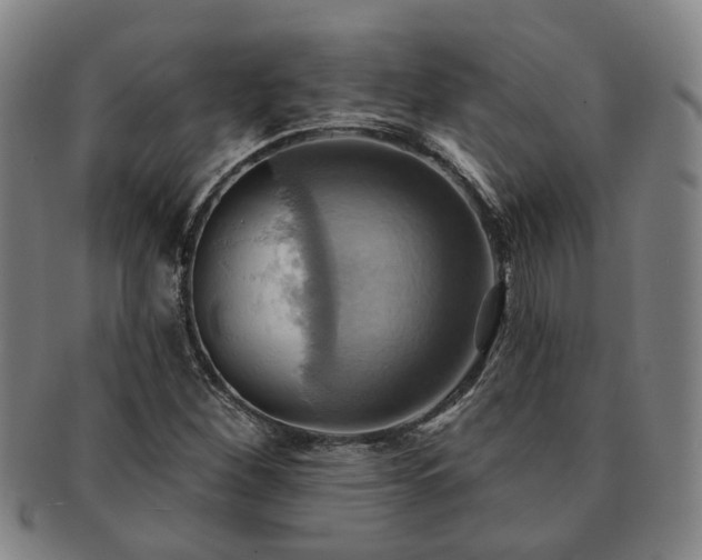 X0000091581260200708271212