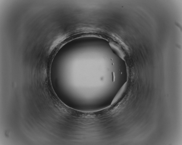X0000091581261200708271212