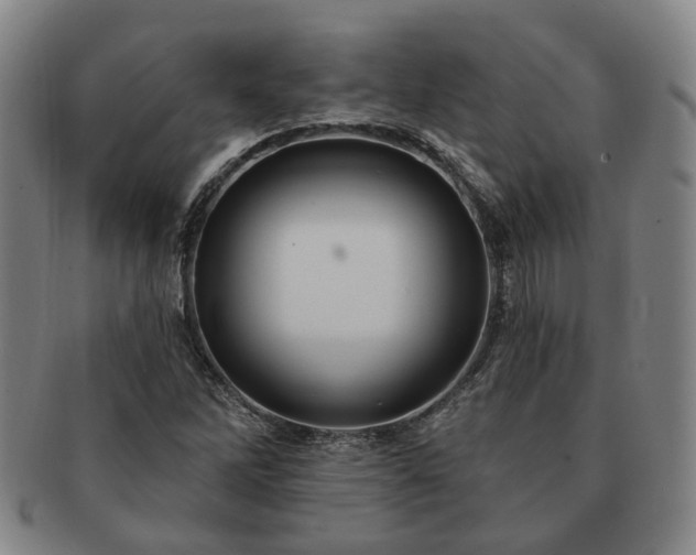 X0000091581262200708271212