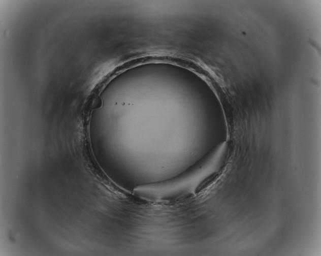 X0000091581263200708271212