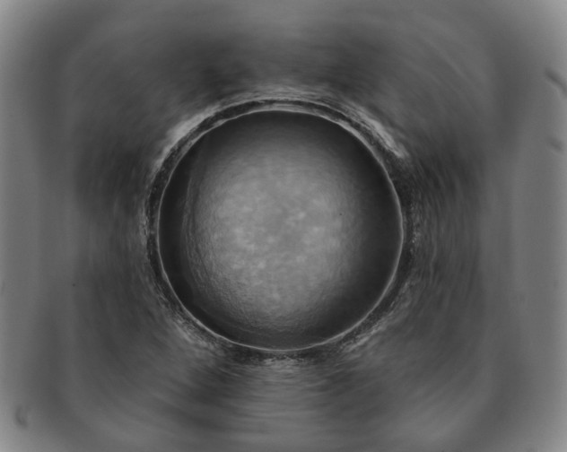 X0000091581264200708271212