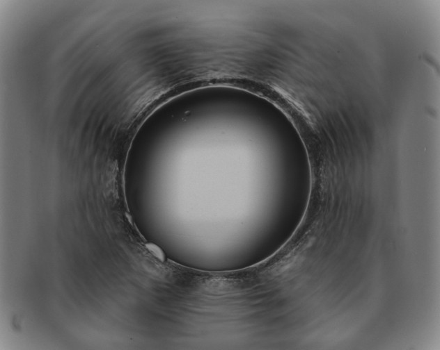 X0000091581265200708271212