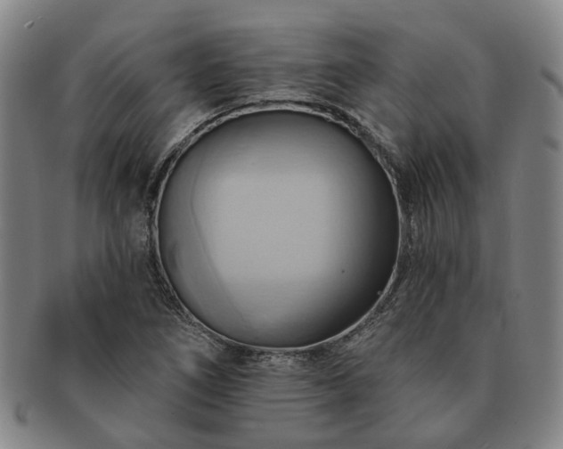 X0000091581266200708271212