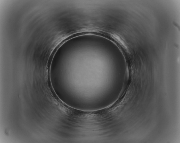 X0000091581268200708271212