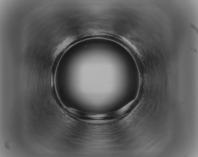 X0000091581269200708271212