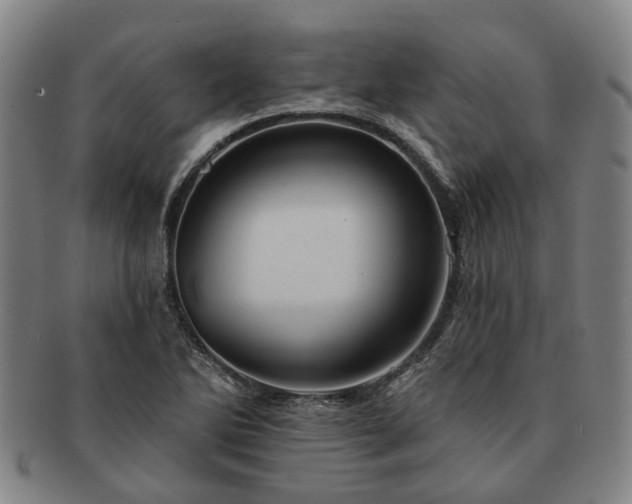 X0000091581270200708271212