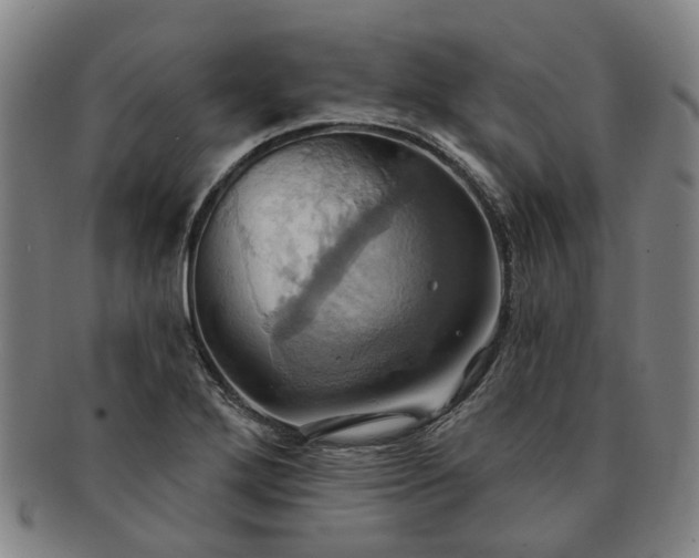 X0000091581272200708271212