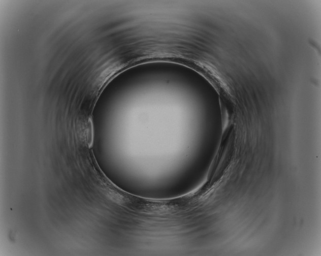 X0000091581273200708271212