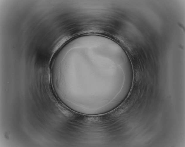 X0000091581274200708271212