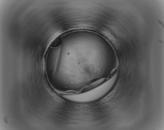 X0000091581275200708271212
