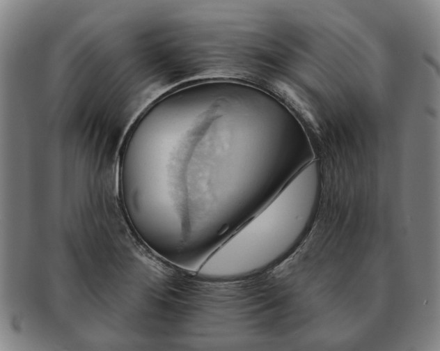 X0000091581276200708271212