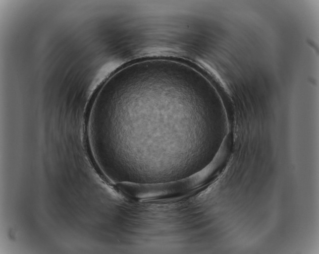 X0000091581277200708271212