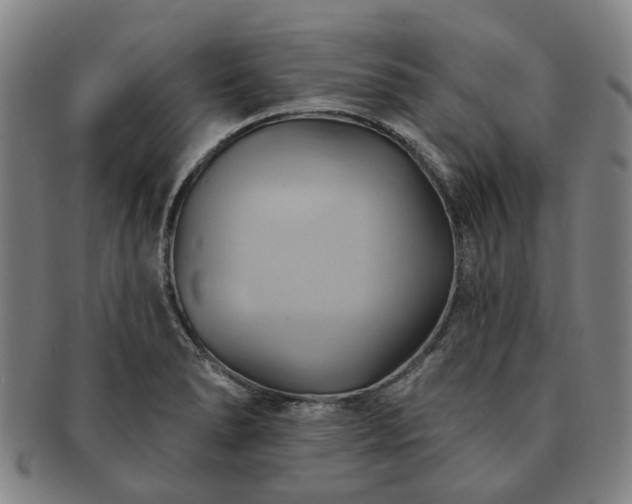 X0000091581278200708271212