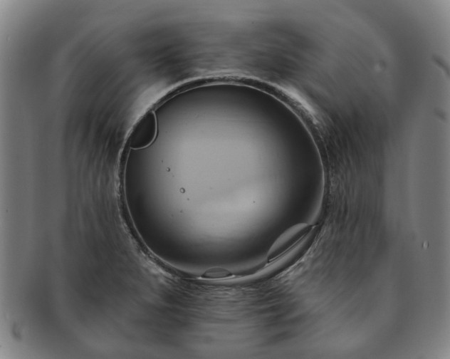 X0000091581279200708271212