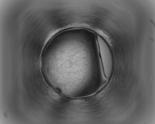 X0000091581280200708271212