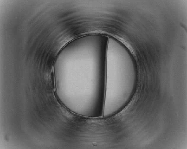 X0000091581281200708271212