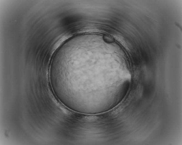X0000091581282200708271212