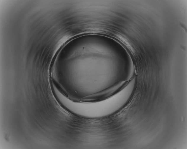 X0000091581283200708271212