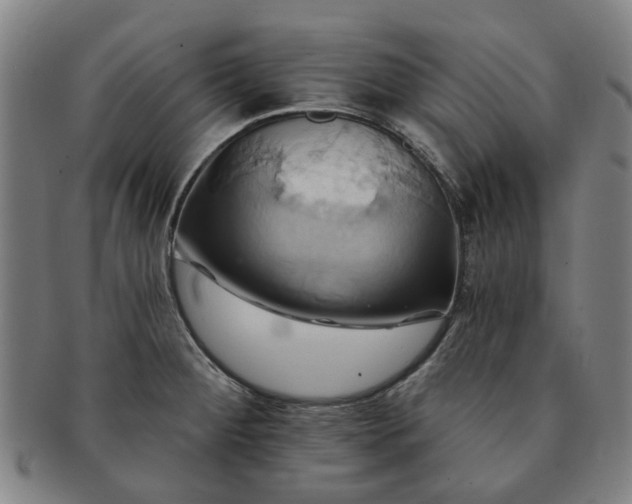 X0000091581284200708271212
