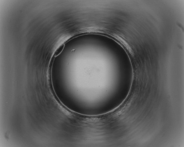 X0000091581285200708271212