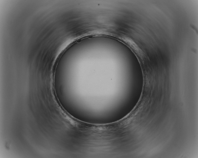X0000091581286200708271212