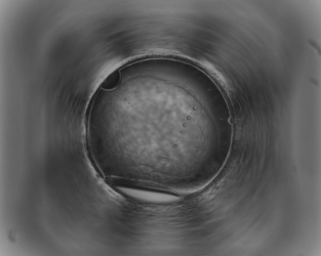 X0000091581287200708271212